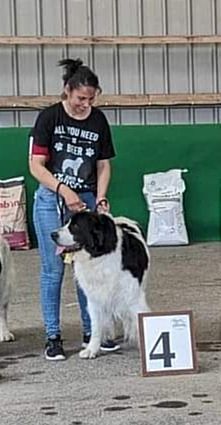 CH. Neyka De La Tribu Landka - 4 ème Très bon