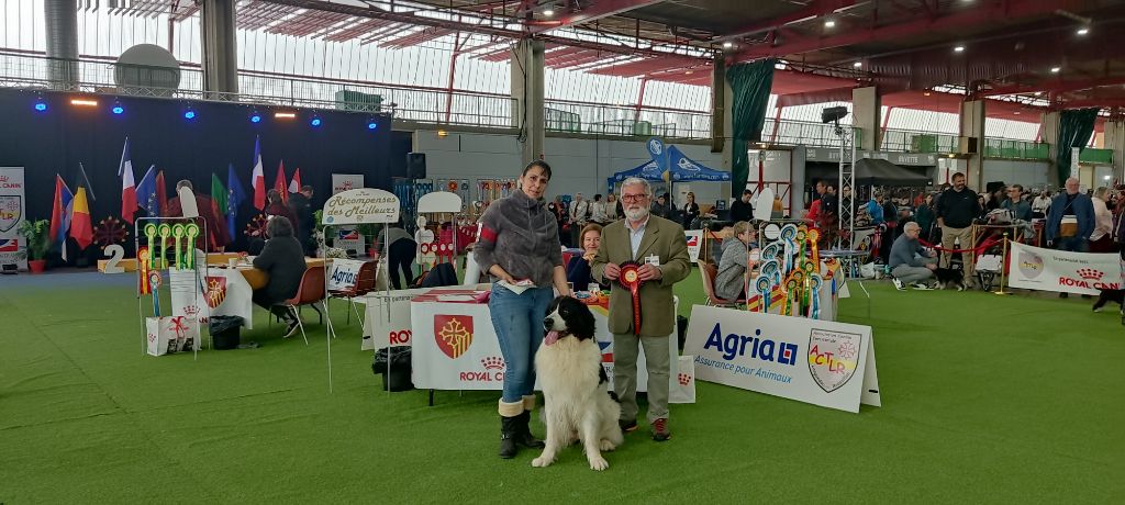 CH. Neyka De La Tribu Landka - 1 excellente cacs BOB