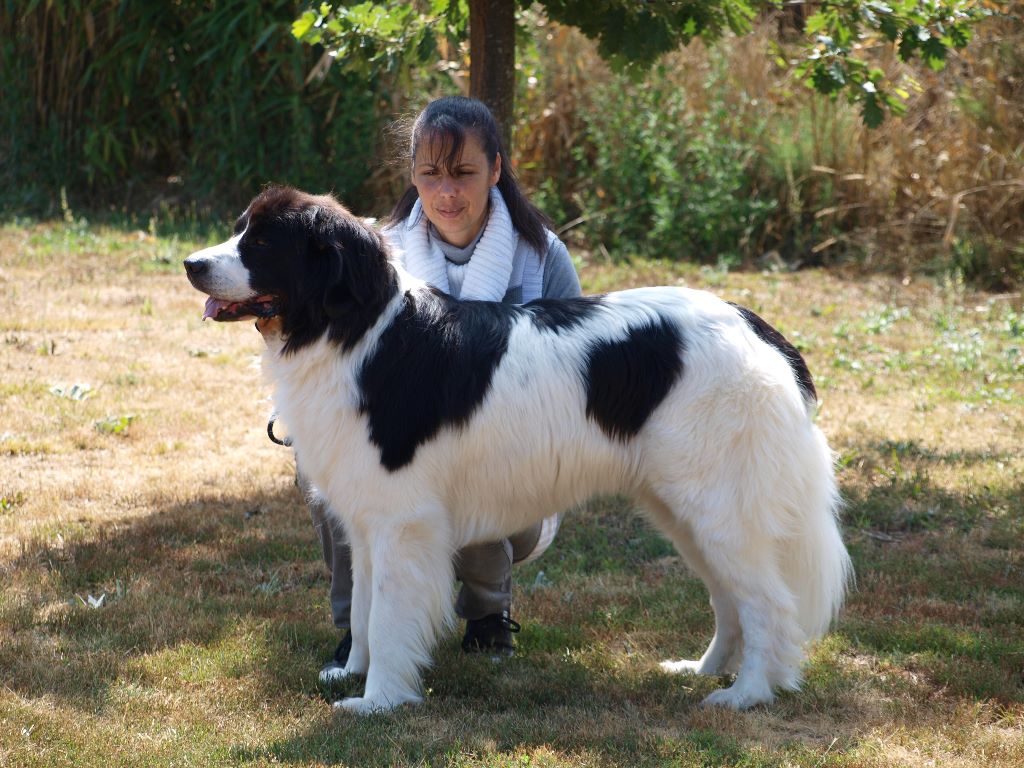 CH. Neyka De La Tribu Landka - 2eme Excellente Rcacs