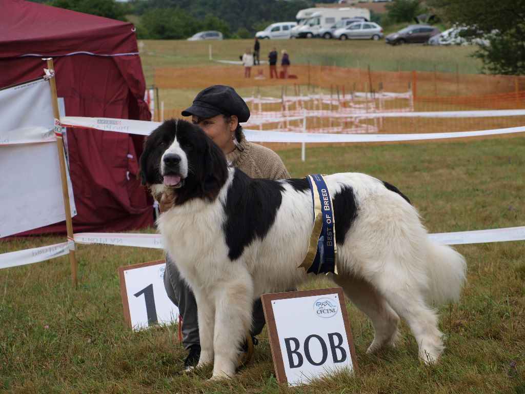 CH. Neyka De La Tribu Landka - 1 ere Excellente meilleur de race