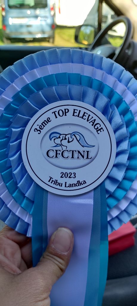 CH. Neyka De La Tribu Landka - 3 ème meilleur élevage du club