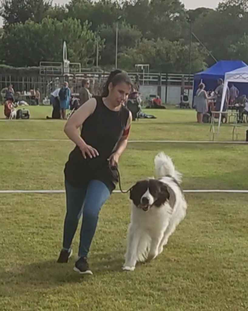 CH. Neyka De La Tribu Landka - 1 excellente CACS/ BOB