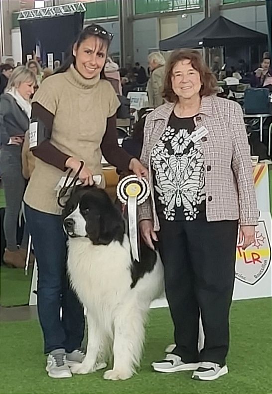 CH. Neyka De La Tribu Landka - 1 ere excellente cacs Bob