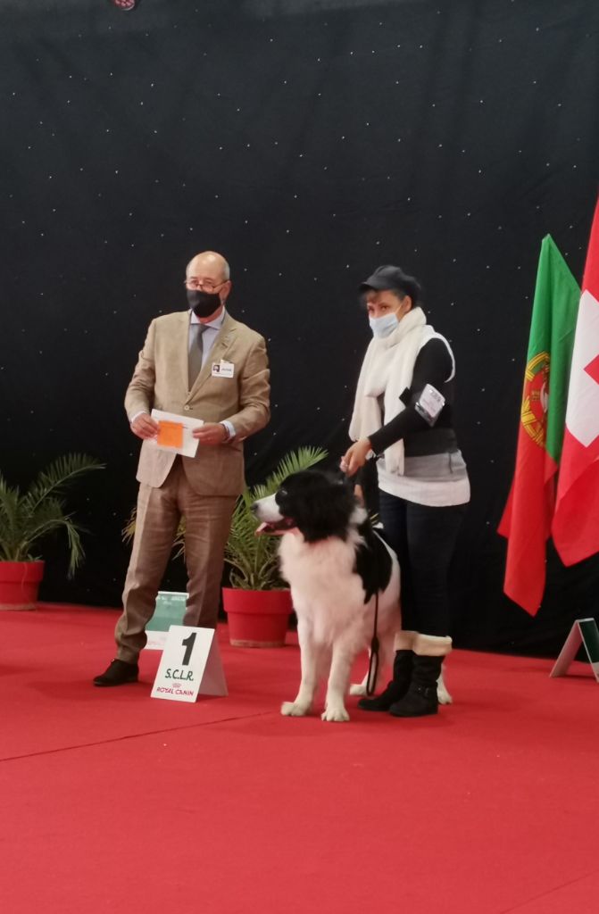 CH. Neyka De La Tribu Landka - 1 excellente cacs / meilleure de race (BOB)