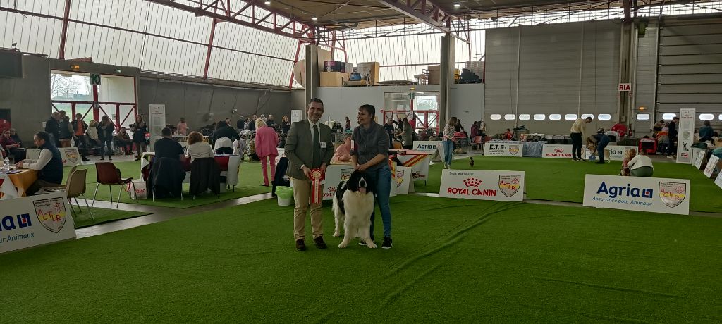 CH. Neyka De La Tribu Landka - 1 excellente cacs BOB