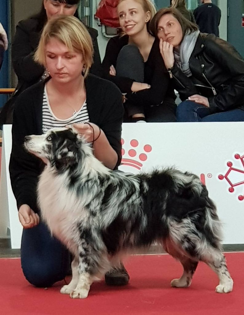 Héros golden lady (Sans Affixe)