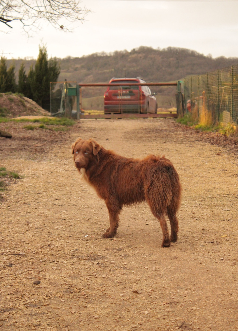 circle b A heart of love with the eyes of ocean