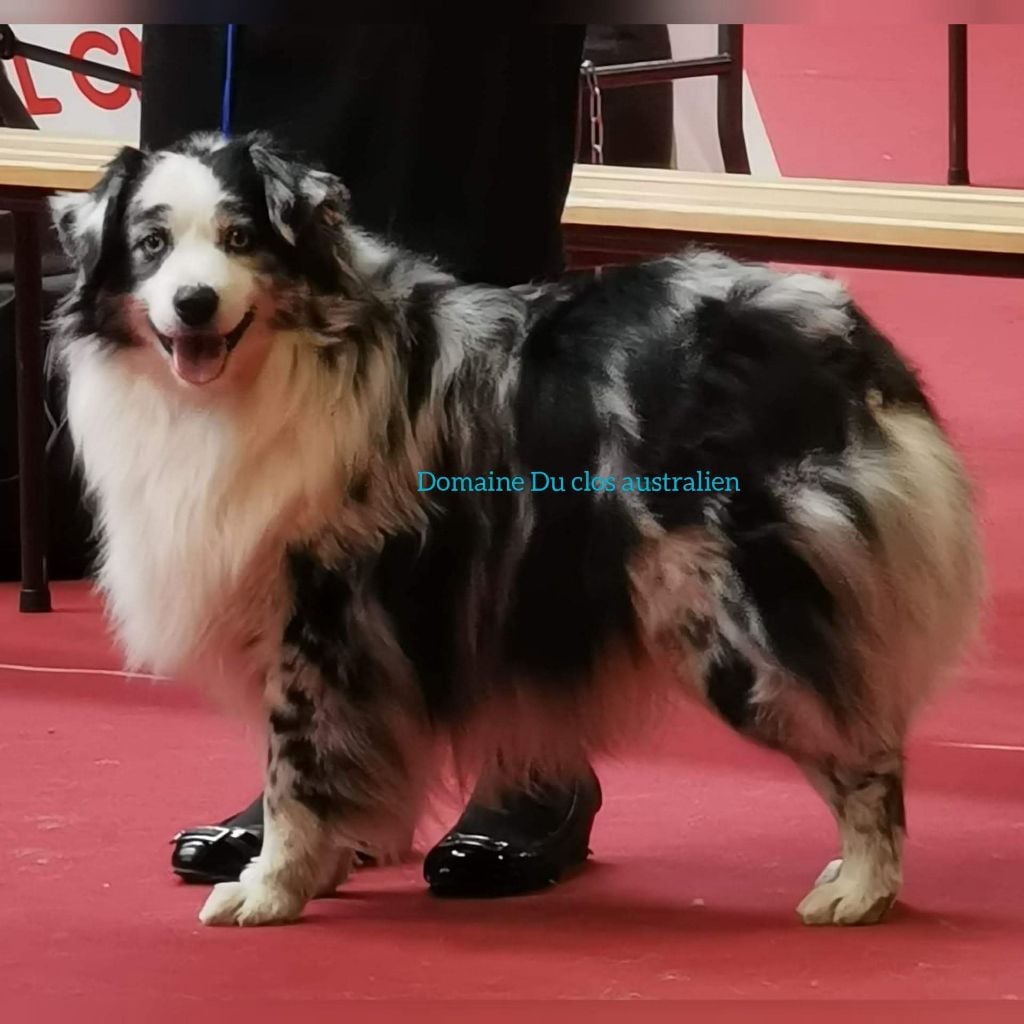 Héros golden lady (Sans Affixe)