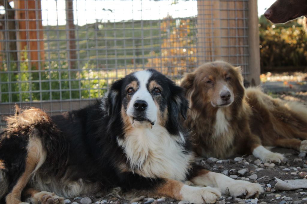 Jewel black pearl of Piek'Shawi