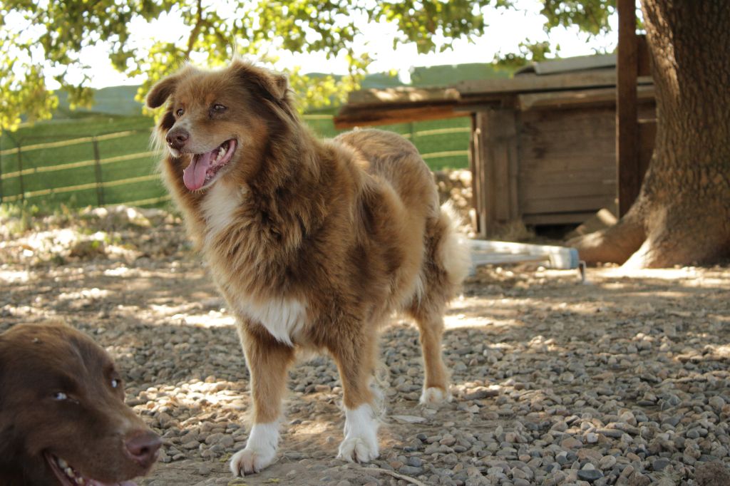 Joy lady (Sans Affixe)