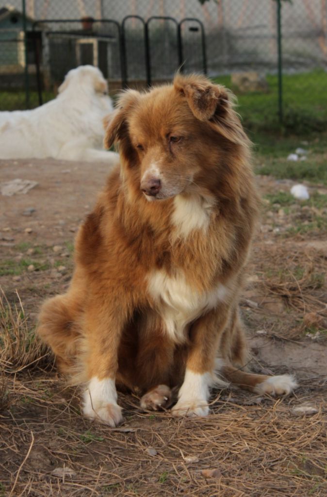 Joy lady (Sans Affixe)