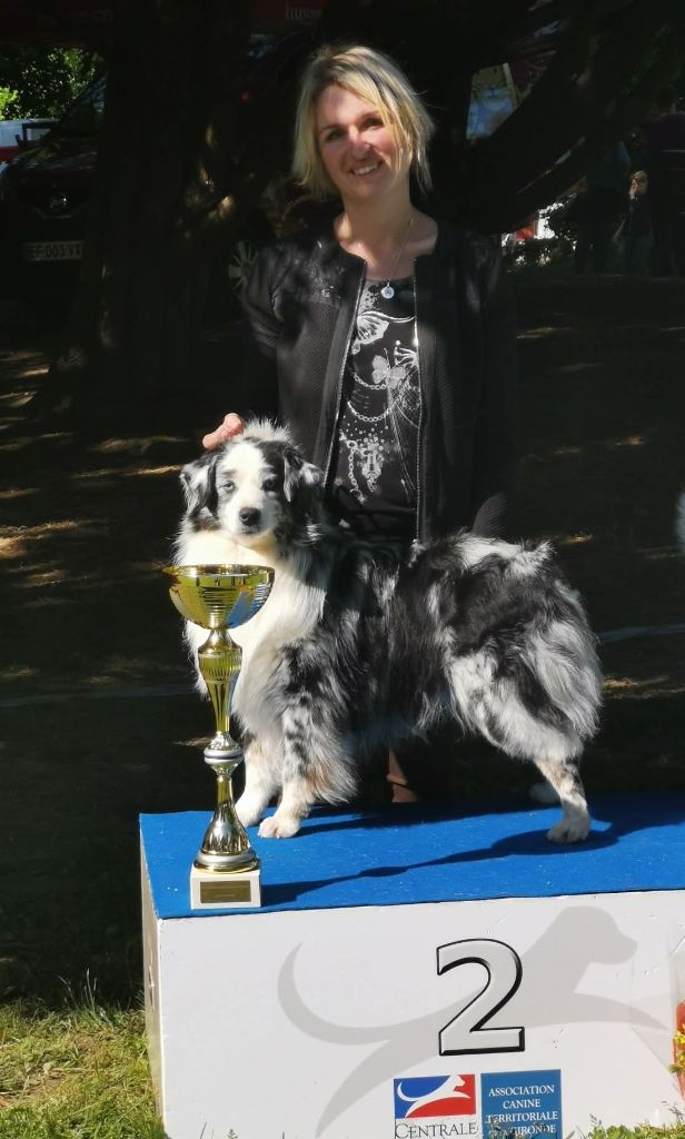 Héros golden lady (Sans Affixe)