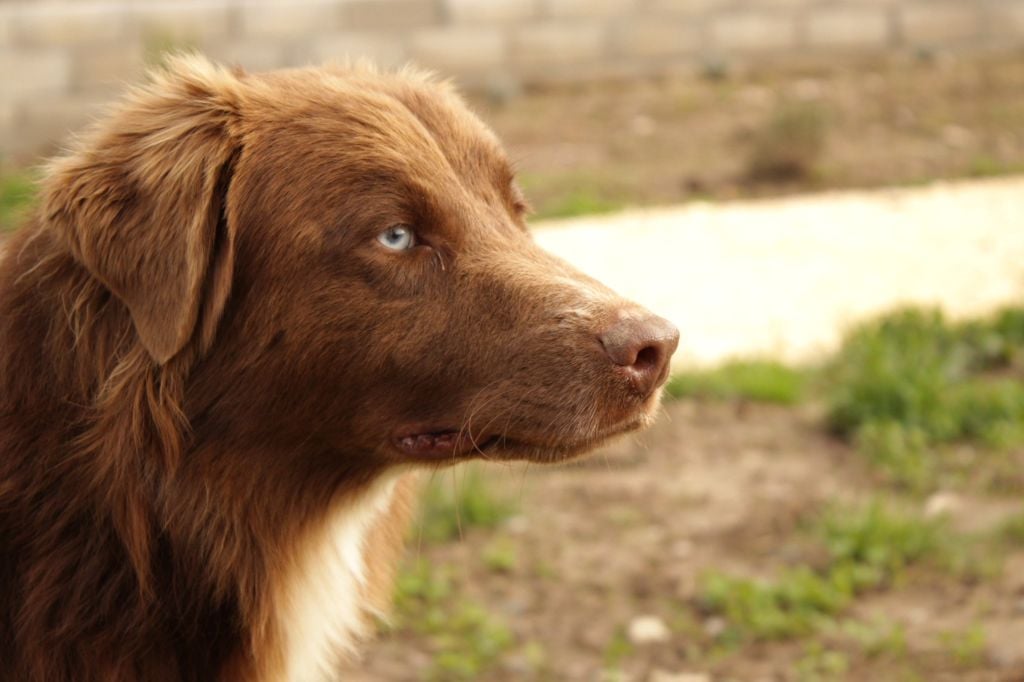 circle b A heart of love with the eyes of ocean