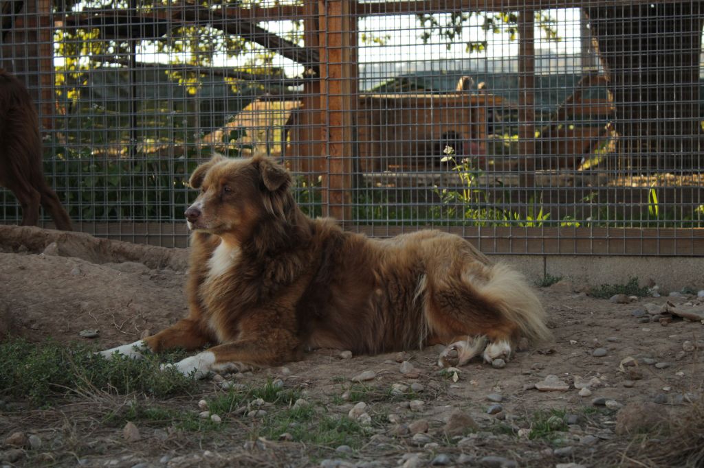 Joy lady (Sans Affixe)