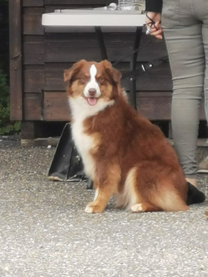 moonbaby's Sweety pretty of my heart - Meilleur Jeune de la race 1er excellent