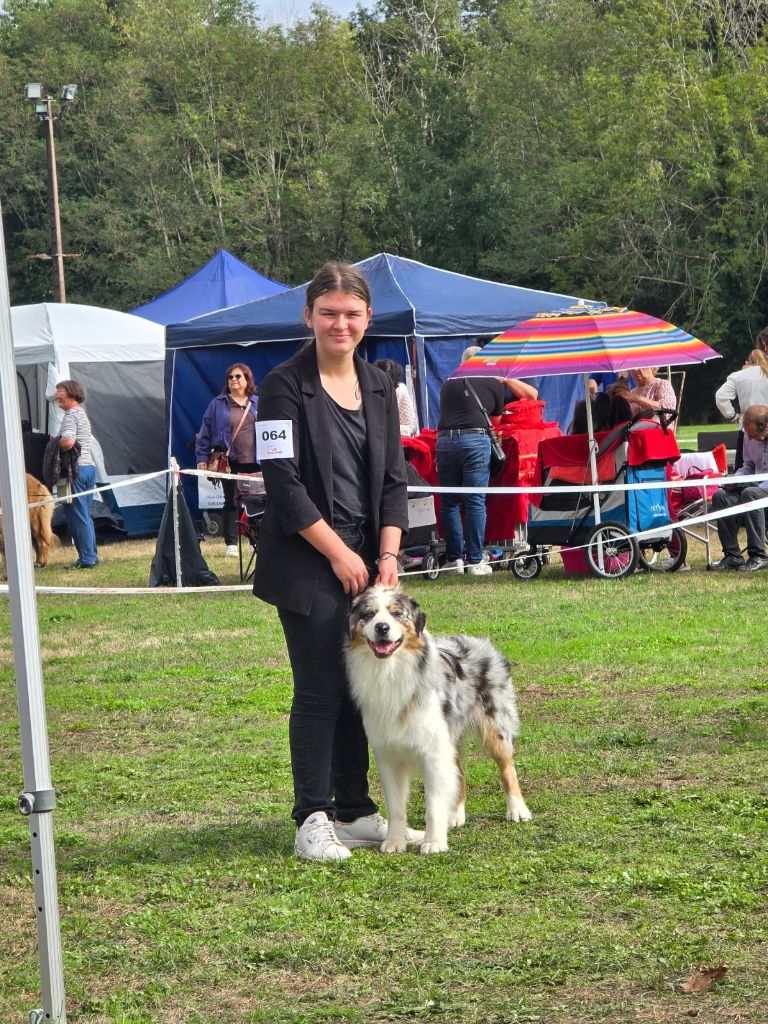 Grey chrystal light - 3eme Excellent