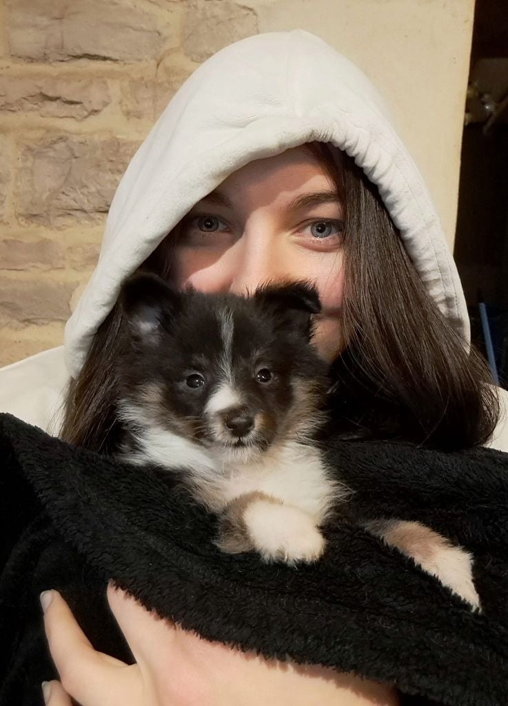 Zuko - upcoming fire lord Du Royaume Des Renards