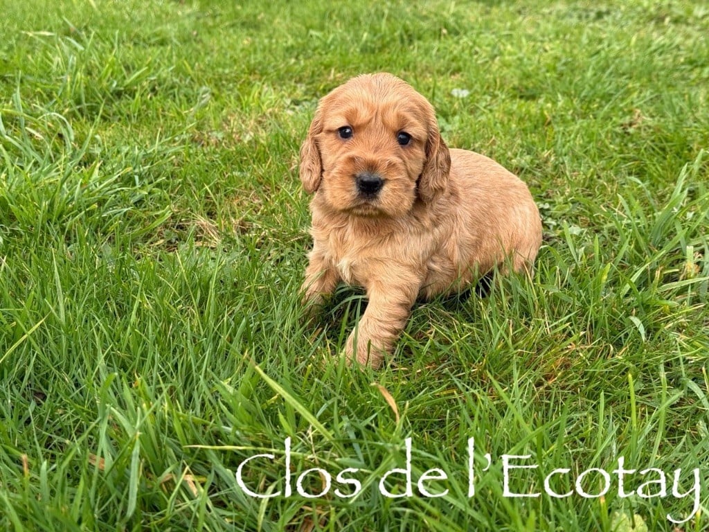 pour Océane et Dorian