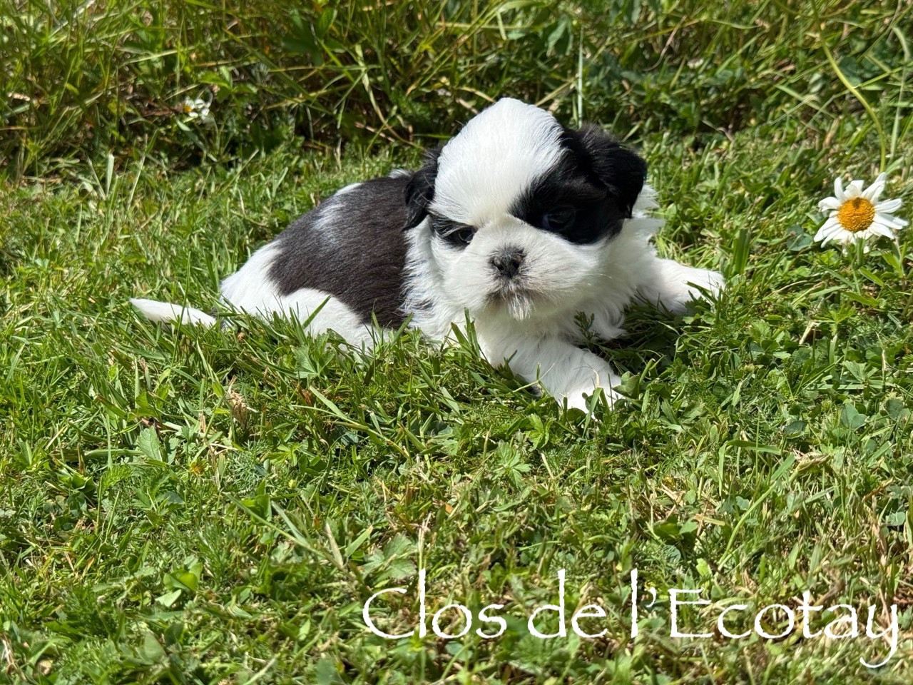 BABY pour Yvette et Patrice