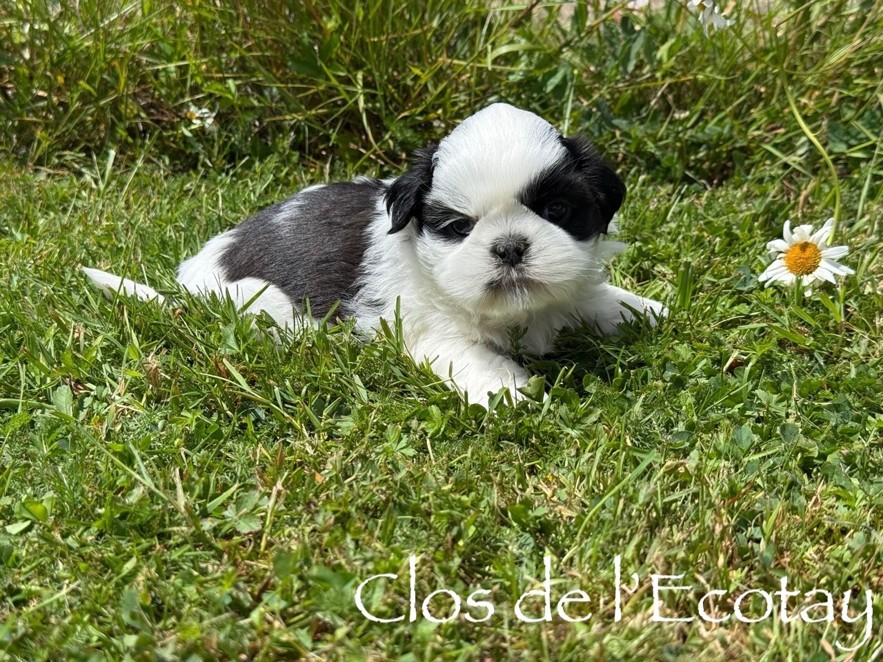BABY pour Yvette et Patrice