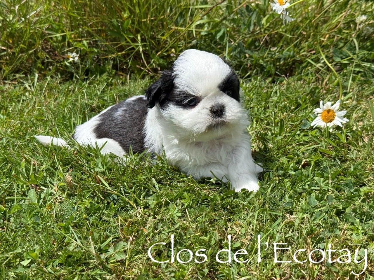 BABY pour Yvette et Patrice