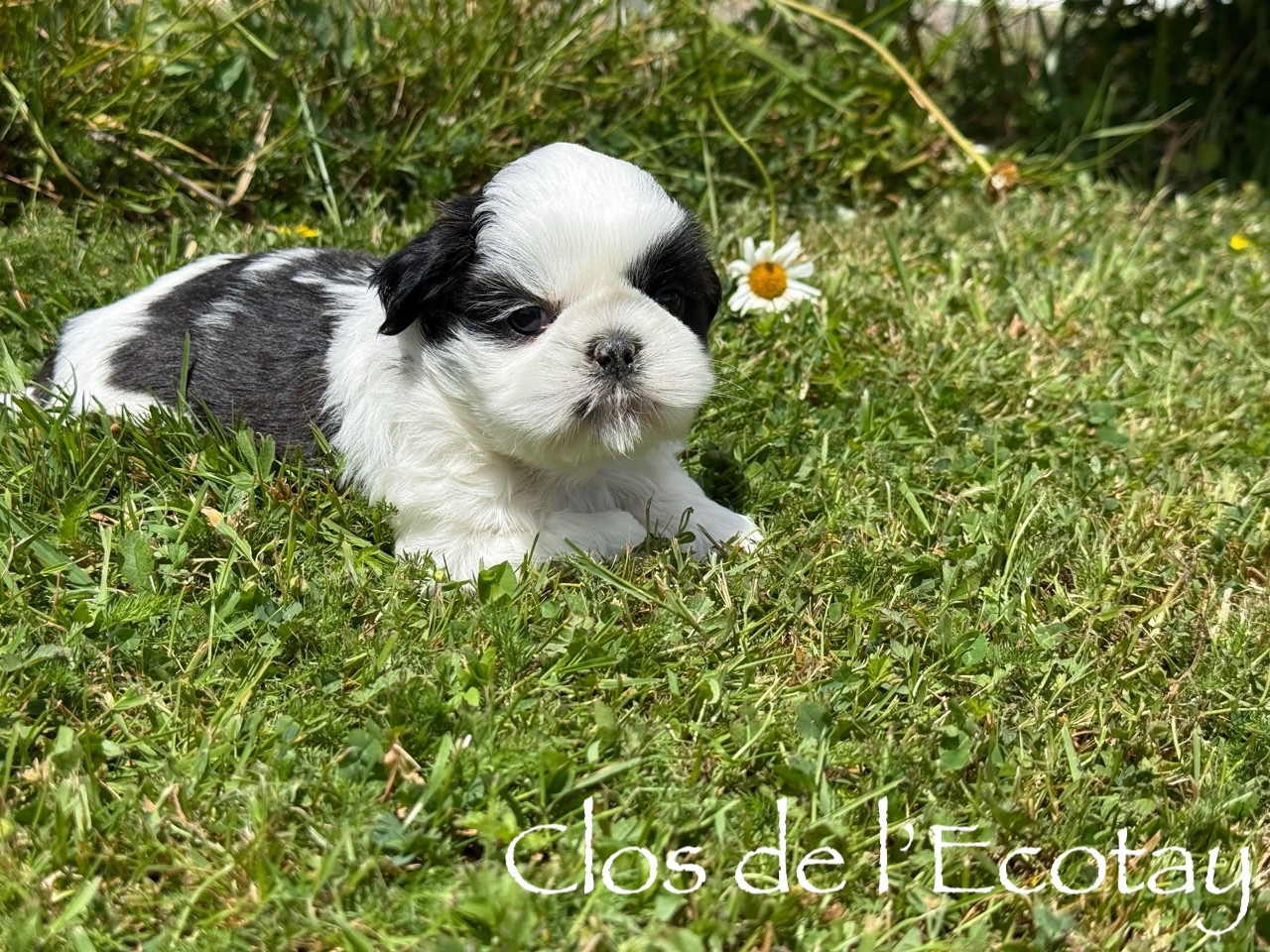 BABY pour Yvette et Patrice