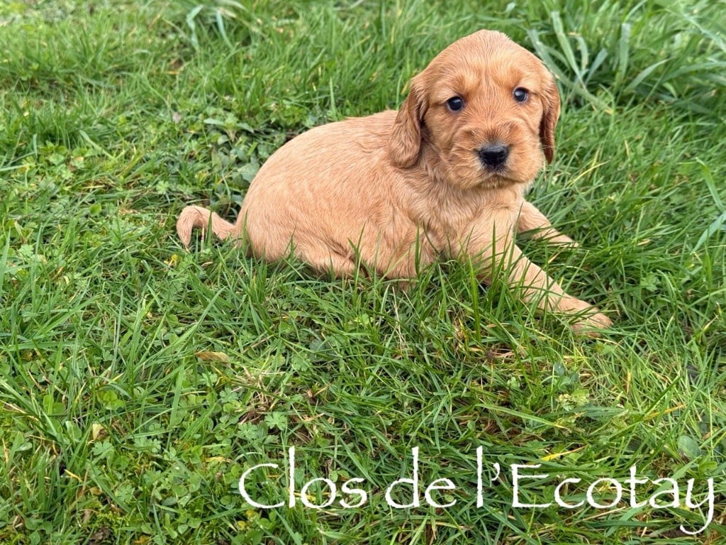 pour Océane et Dorian