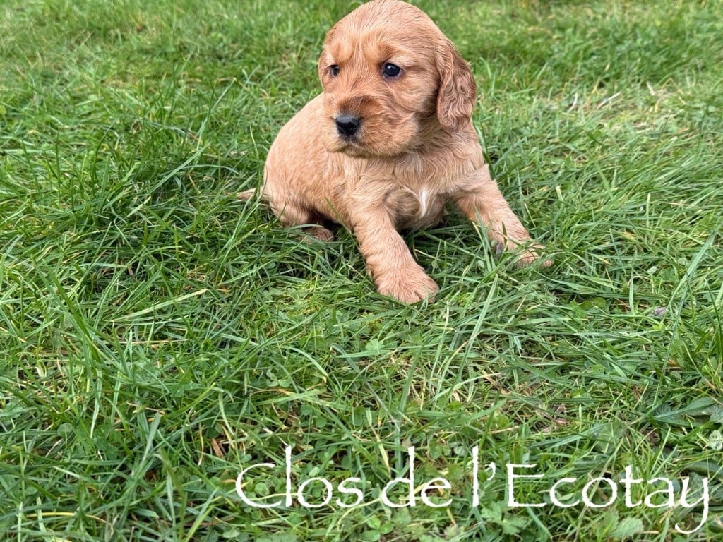 pour Océane et Dorian