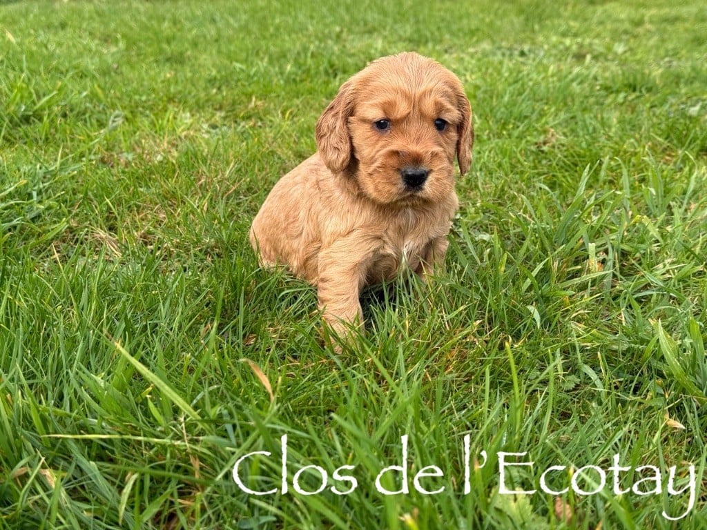 pour Océane et Dorian