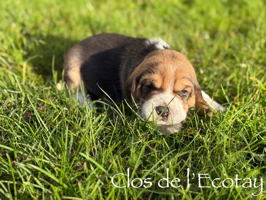 pour Hélène et Christophe