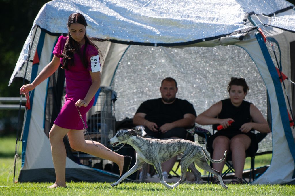 CH. Impul's Garden U can call me princess