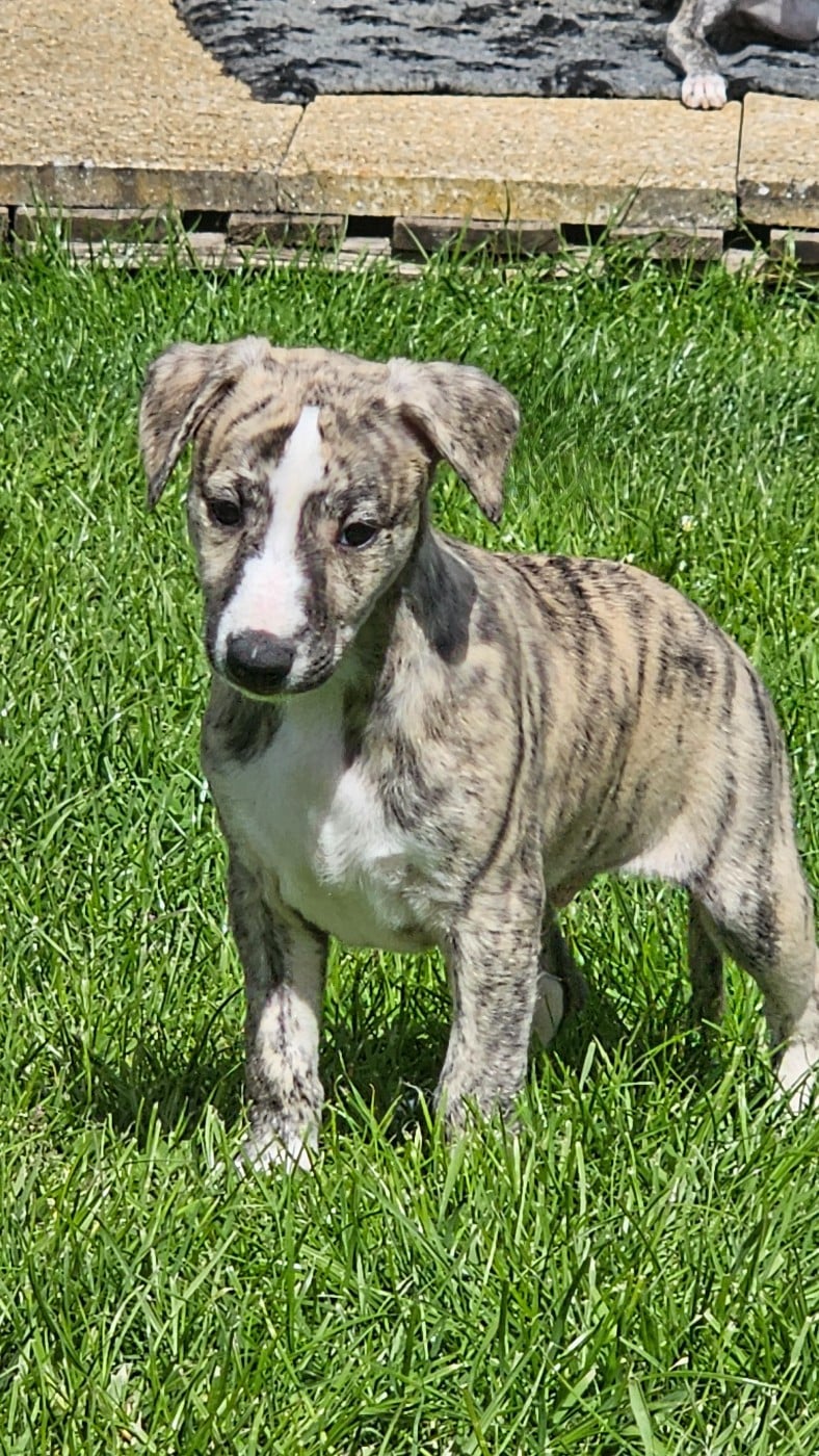 Male 3