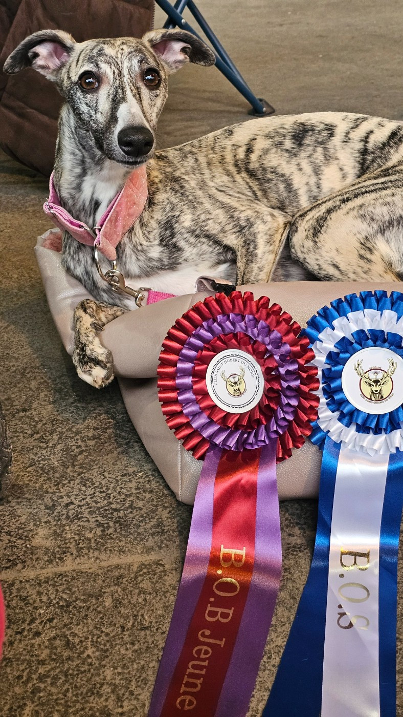 Impul's Garden Another special princess - 1ere excellent Cacj BOBJ BOS