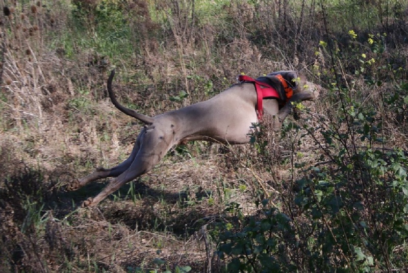 Publication : Du Domaine De Siege