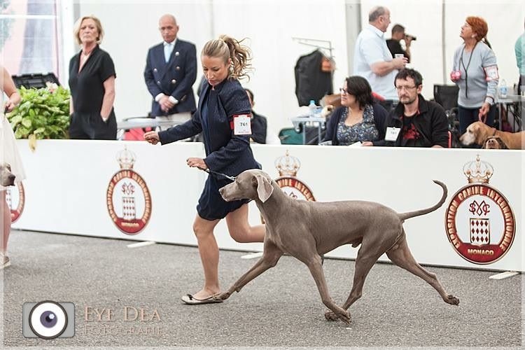 Publication : Du Domaine De Siege