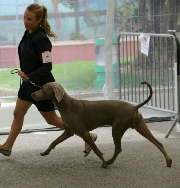 Publication : Du Domaine De Siege