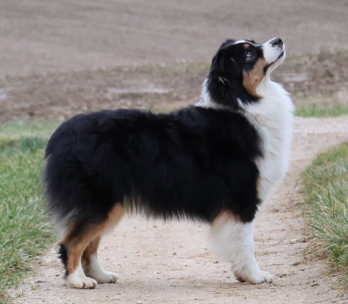 Publication : Des Collines d'Iowa Auteur : Mathilde Huou