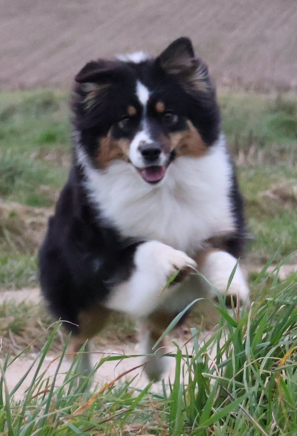 Publication : Des Collines d'Iowa Auteur : Mathilde Huou