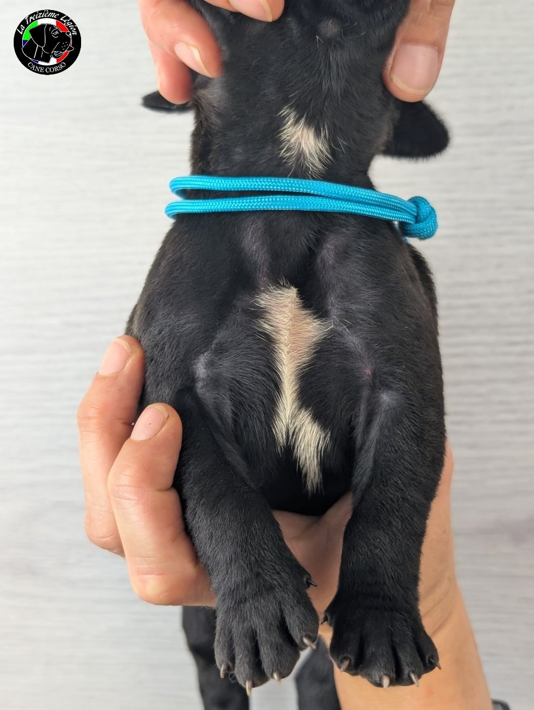 Collier Bleu Ciel