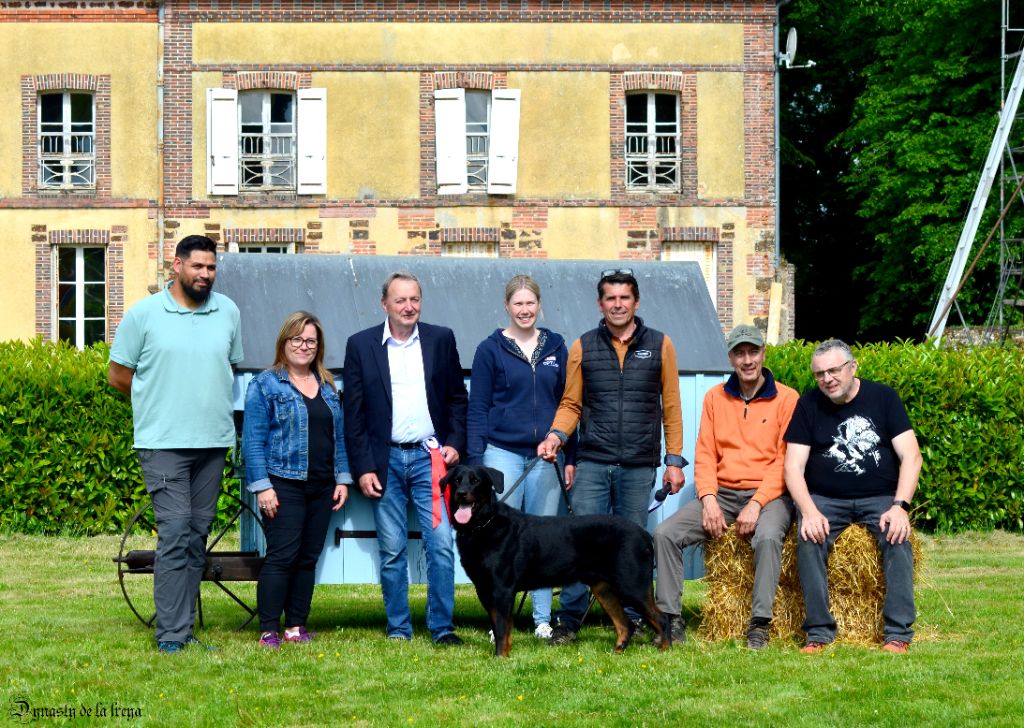 Uther pendragon De La Dynasty De La Freya