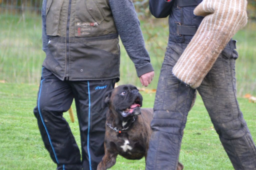 Lookoom Des Alérions D'Argent - IGP 1 3ème sur 6