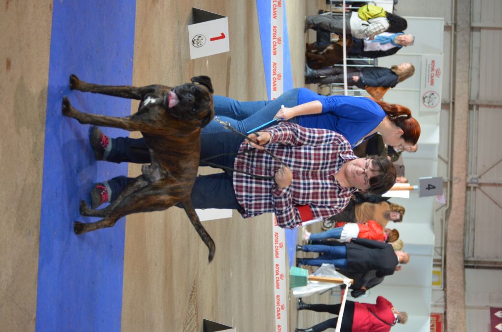 Lookoom Des Alérions D'Argent - 2ème exc classe travail