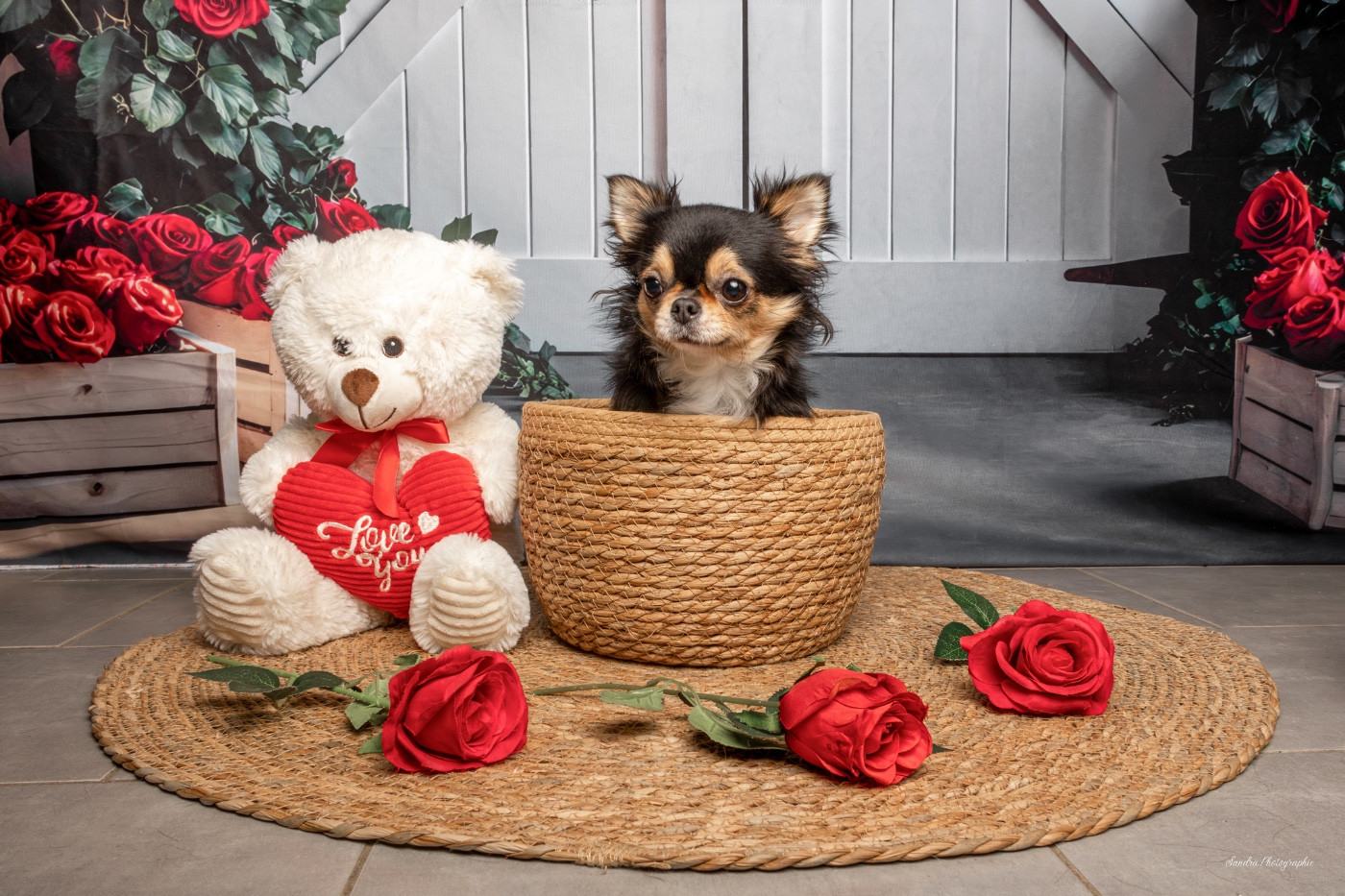 Van-de-kamp bree Des Minis Trésors