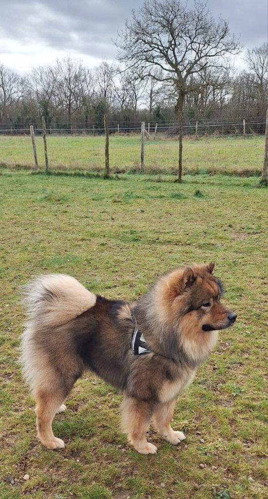 Thamani Du Domaine Des Terres De Jade