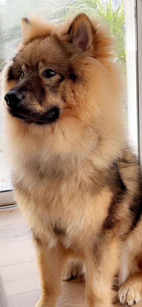 Thamani Du Domaine Des Terres De Jade