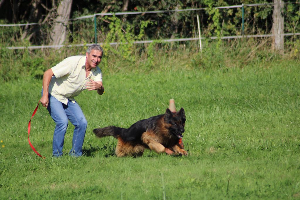 CH. Oural De La Vallee Des Mustangs