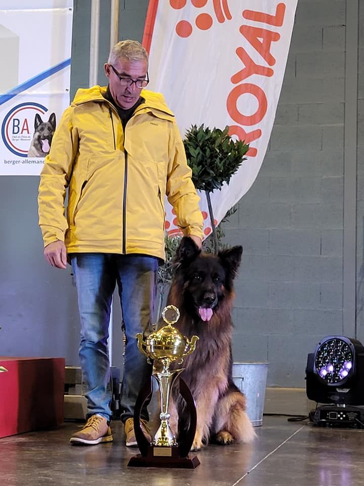 CH. Oural De La Vallee Des Mustangs