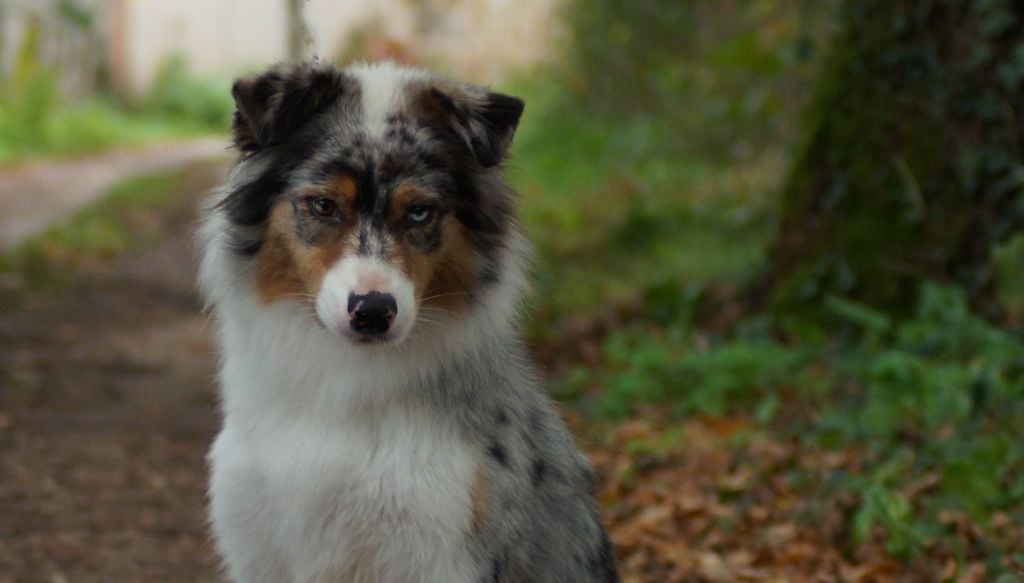 Publication : Ls Twins Crew