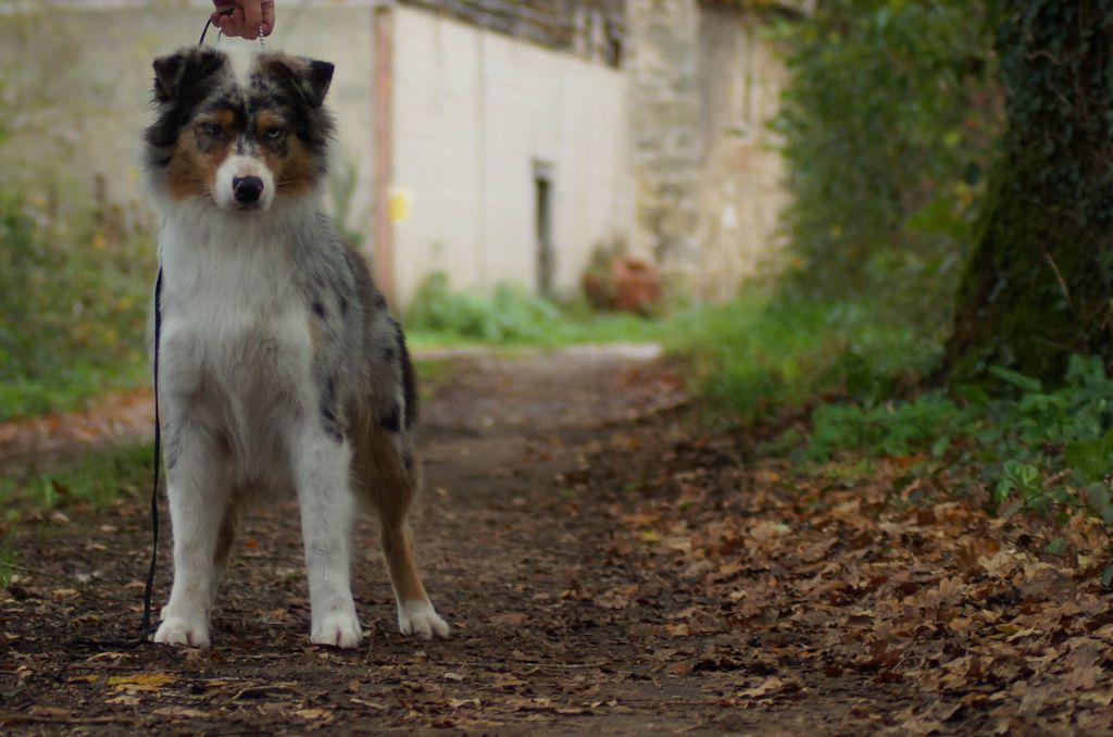 Publication : Ls Twins Crew