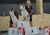 Negan the legend De La Griffe Des Loups D'argent - 1er Très Prometteur et Meilleur Puppy de la Regional